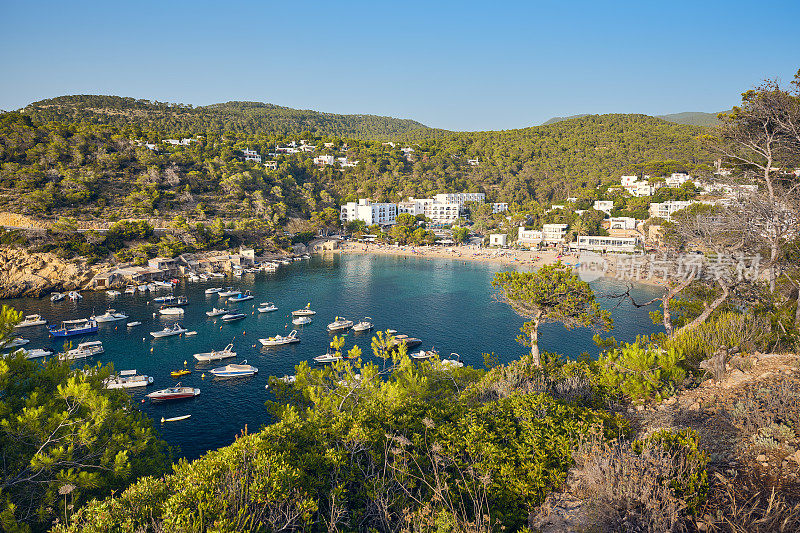 Cala Vedella, Cala Vadella，海滩和海湾在日落，伊比沙岛，西班牙